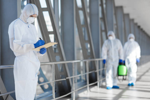 Mold Removal for HVAC Installations in Veazie, ME
