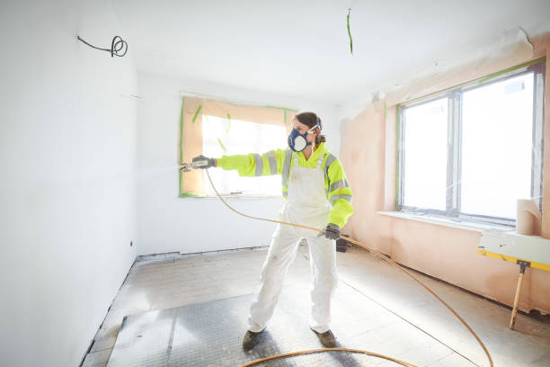 Best Black Mold Removal  in Veazie, ME